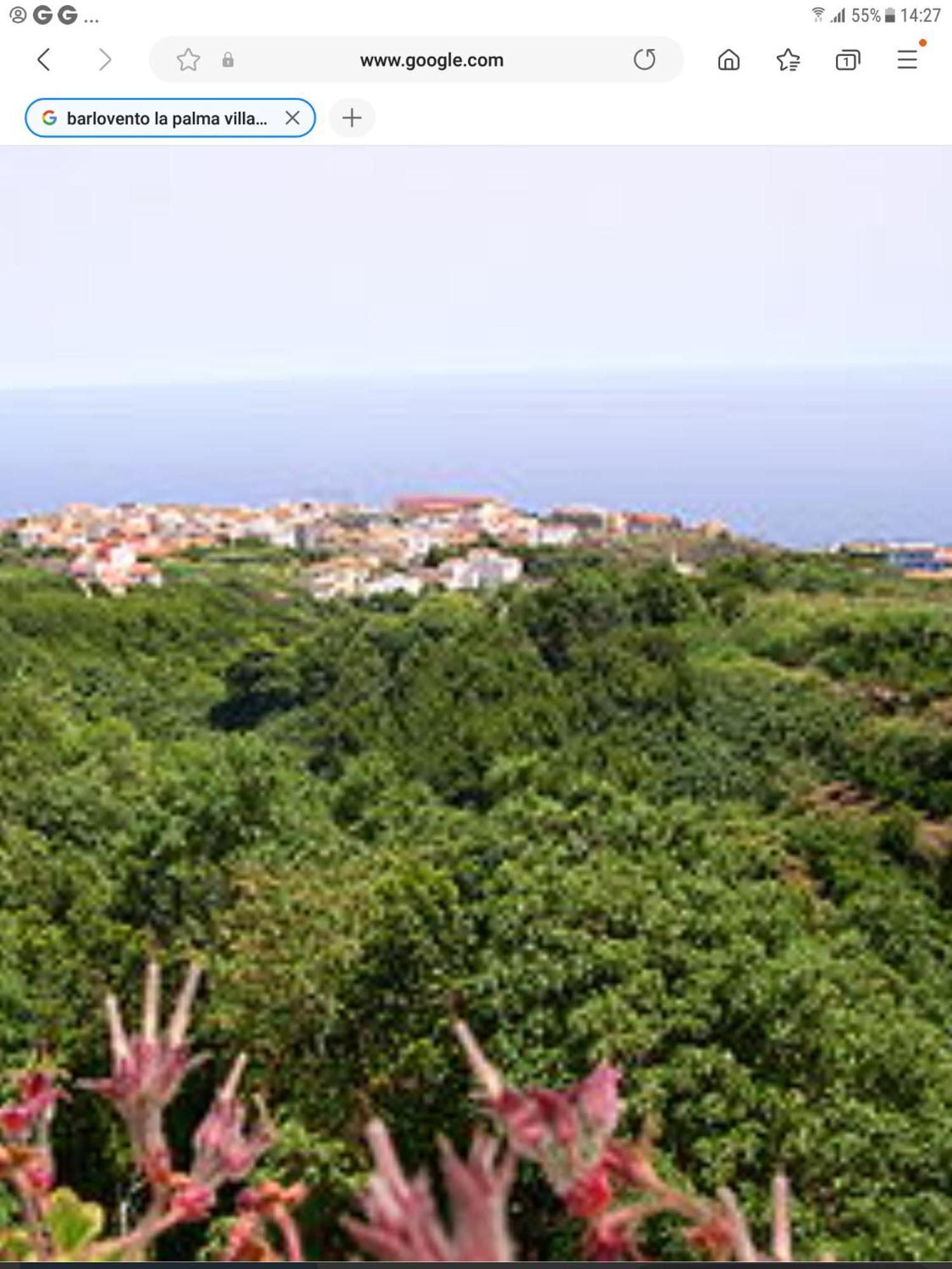 Terraza Del Atlantico 1 + 2 Daire Barlovento Dış mekan fotoğraf